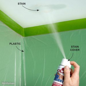 Cover Up A Ceiling Stain Norway Hill Home Inspections