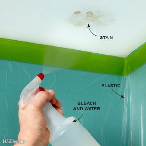 Bleach Away A Water Stain Norway Hill Home Inspections