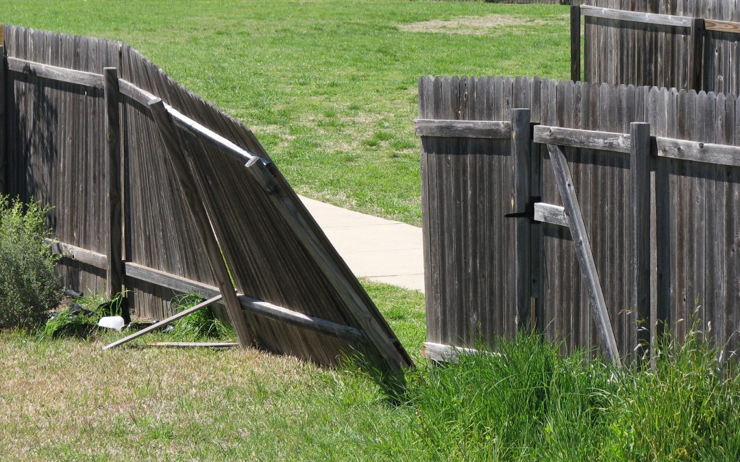 Repair wood fences and gates