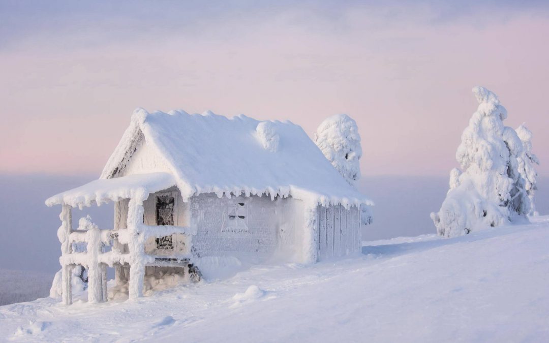 Adventures in Home Owning: Snow and the Home Inspection Process