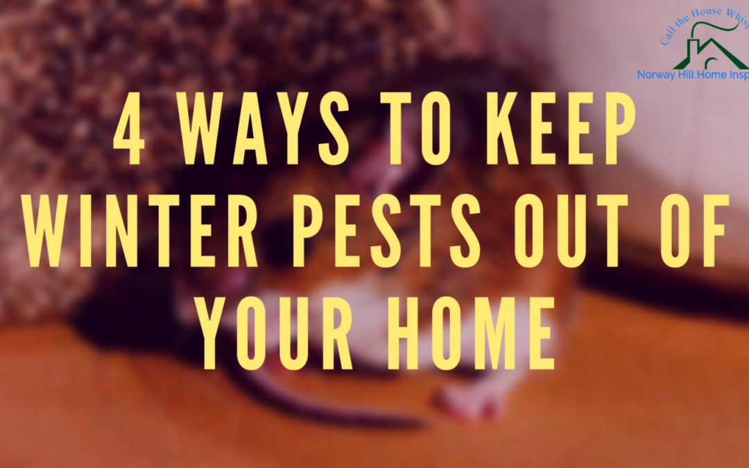 4 Ways To Keep Winter Pests Out of Your Home