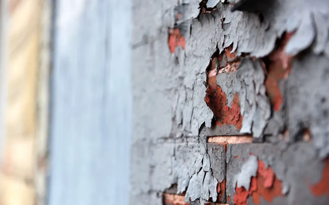 Why Lead Inspections Are a Must for Older Homes